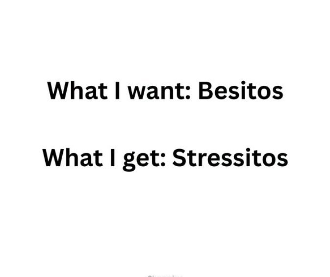 beesito majorgeeks.jpg